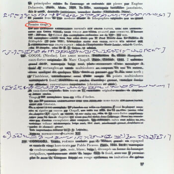 图画 标题为“Bibliothèque d'un a…” 由Xavier Debeerst, 原创艺术品, 铅笔