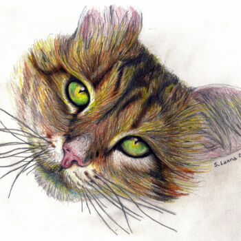 Peinture intitulée "Miao" par Sergio Lanna (Sir Joe), Œuvre d'art originale, Conté