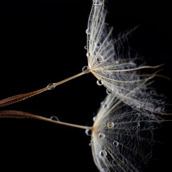 Photographie intitulée "series "Tears"" par Viktoriia Krulko, Œuvre d'art originale, Photographie numérique