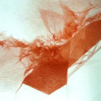 图画 标题为“Bat. Flying fox.” 由Vasyl Pal, 原创艺术品, 铅笔