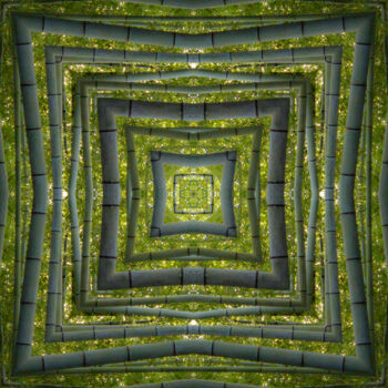 Photography titled "Kaleido Bambou" by Frederic Bos, Original Artwork, Photo Montage