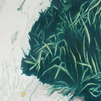 图画 标题为“Gras” 由Oleg Breininger, 原创艺术品, 铅笔