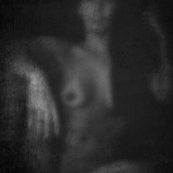 La dame de la nuit