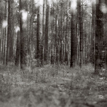 摄影 标题为“ABSTRACTION DES COL…” 由Martin Ecker, 原创艺术品, 电影摄影