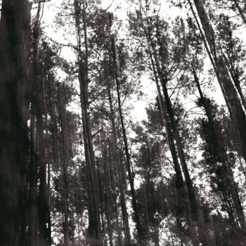 Photography titled "Abstraction es Coll…" by Martin Ecker, Original Artwork, Analog photography