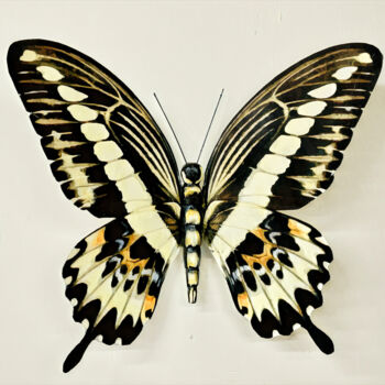 Sculpture titled "Papilio Gigon" by Ken Overman, Original Artwork, Plastic Mounted on Plexiglass