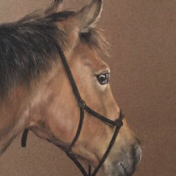 Drawing titled "Ginger" by Irene_art, Original Artwork, Pastel
