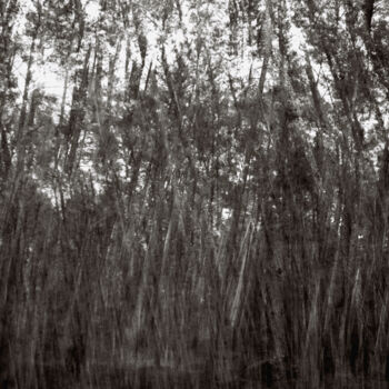 Photographie intitulée "ABSTRACION DES COLL…" par Martin Ecker, Œuvre d'art originale, Photographie argentique