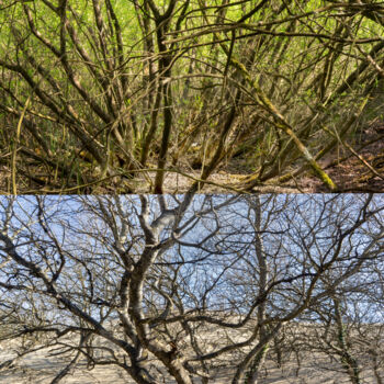 Photographie intitulée "Welded landscapes (…" par Nicolas Lespagnol, Œuvre d'art originale, Photographie non manipulée Monté…