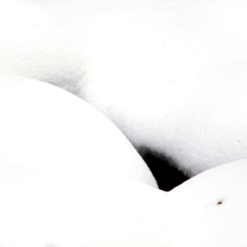 绘画 标题为“Snow” 由Vadim Bogdanov, 原创艺术品, 数码摄影