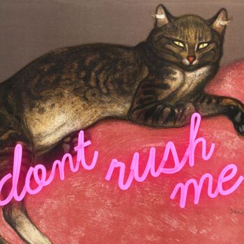 "Don’t Rush Me - Cat" başlıklı Dijital Sanat Kerry Pritchard tarafından, Orijinal sanat, Dijital Resim