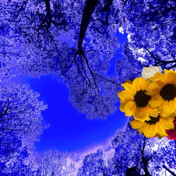 Digital Arts titled "Dove of Peace with…" by Dida Andr & Tevah.Art Studio, Original Artwork, Manipulated Photography