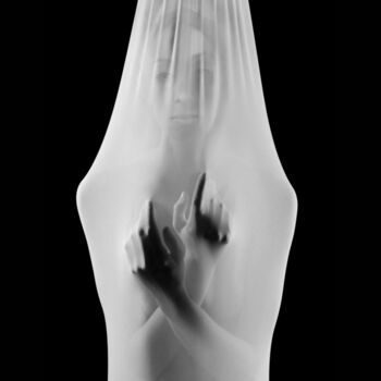 Arts numériques intitulée "Renaissance" par Aurélie Pancrate, Œuvre d'art originale, Photo montage