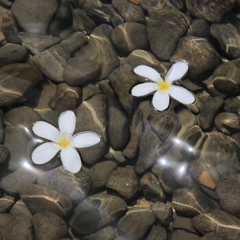 「Floating」というタイトルの写真撮影 Sylvia Haghjooによって, オリジナルのアートワーク, デジタル