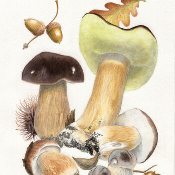 Painting titled "Boletus aereus" by Dmitrii Kastalskii, Original Artwork, Watercolor