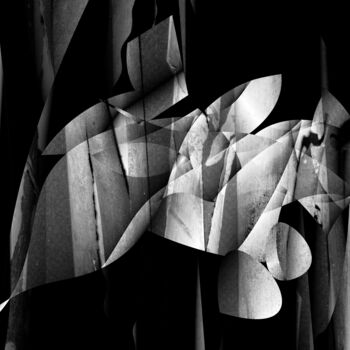 「Amalgam - 240116.1.2」というタイトルのデジタルアーツ Rosemary Collardによって, オリジナルのアートワーク, 2Dデジタルワーク
