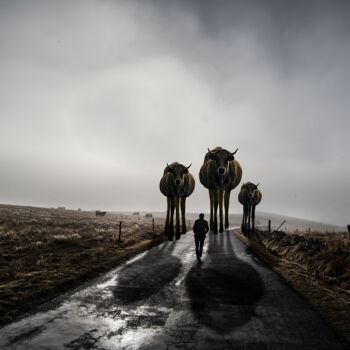 Photography titled "AUBRAC" by Dipi, Original Artwork, Manipulated Photography