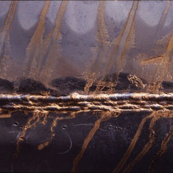 Photography titled "Arborescences 1" by Jacques Jégo, Original Artwork, Non Manipulated Photography