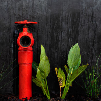 Fotografia intitulada "Fire Hydrant" por Jade Holing, Obras de arte originais, Fotografia digital