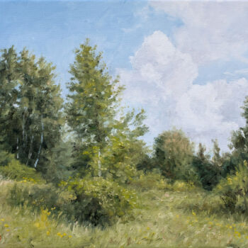 绘画 标题为“Grass, Birches and…” 由Dejan Trajkovic, 原创艺术品, 油 安装在木质担架架上