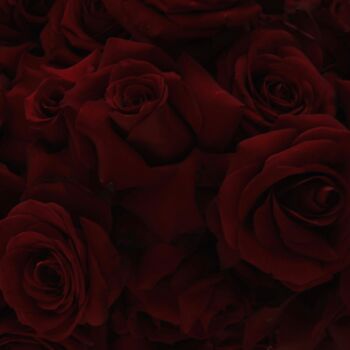 「Flamme Jumelle Rose」というタイトルの写真撮影 Sylvia Haghjooによって, オリジナルのアートワーク, デジタル