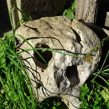 Photographie intitulée "Timide des chemins" par Jeanpierre Allano, Œuvre d'art originale, Photographie non manipulée