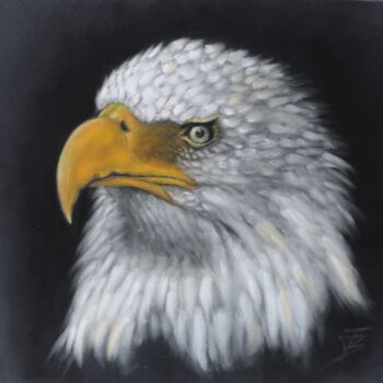 Dessin intitulée "Le Pitargue" par Isabelle Blanc, Œuvre d'art originale, Pastel Monté sur Carton