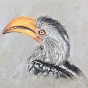 Drawing titled "Yellow-billed Hornb…" by Irene_art, Original Artwork, Pastel