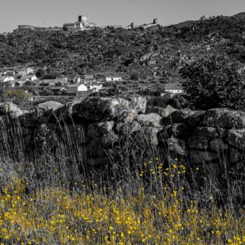 "Paysage jaune 2" başlıklı Fotoğraf Rosalina Vaz tarafından, Orijinal sanat, Dijital Fotoğrafçılık