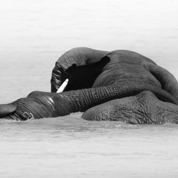 Photographie intitulée "Ellie Embrace" par Jade Holing, Œuvre d'art originale, Photographie numérique