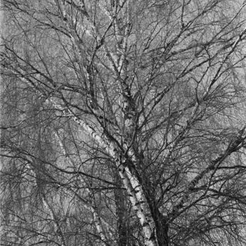 "Plan-scheme of the…" başlıklı Fotoğraf Ekaterina Kastalskaya tarafından, Orijinal sanat, Analog Fotoğrafçılık