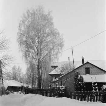 Fotografia zatytułowany „Frosty filigree” autorstwa Ekaterina Kastalskaya, Oryginalna praca, Fotografia filmowa