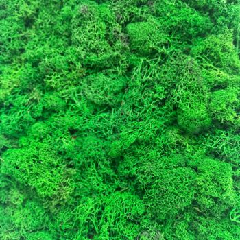 Peinture intitulée "Natural" par Khanna Mara, Œuvre d'art originale, Collages