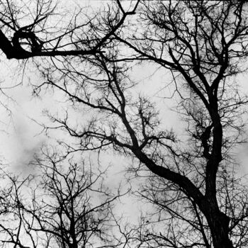 "Marry me" başlıklı Fotoğraf Ekaterina Kastalskaya tarafından, Orijinal sanat, Analog Fotoğrafçılık