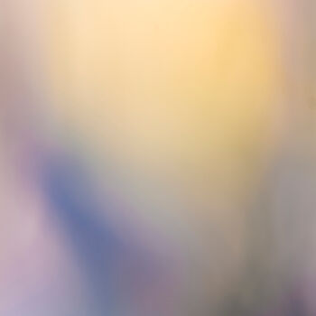 Photography titled "Kasumi_11" by Yasuo Kiyonaga, Original Artwork, Digital Photography Mounted on Aluminium
