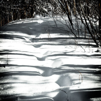 Photography titled "Suis-moi" by Martin Gaudreault, Original Artwork, Digital Photography