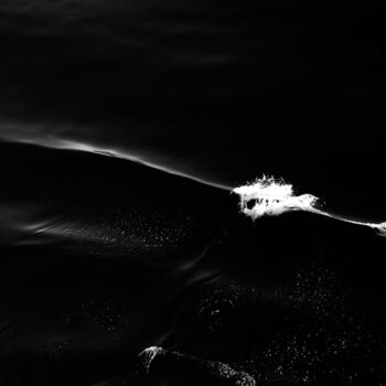 제목이 "Danse avec l'eau 0x…"인 사진 Éric Petr로, 원작, 조작되지 않은 사진