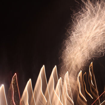 Photographie intitulée "Fleurs de Lumière 0…" par Éric Petr, Œuvre d'art originale, Photographie non manipulée