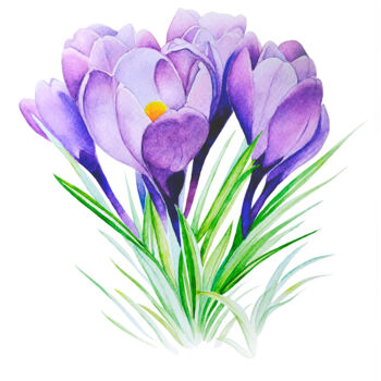 Schilderij getiteld "Purple Crocuses" door Tatiana Repesciuc, Origineel Kunstwerk, Aquarel