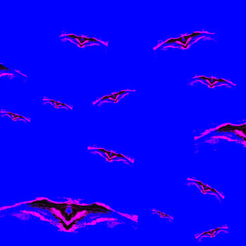 「Bats 11d3 [Ice Wate…」というタイトルの写真撮影 Ken Lernerによって, オリジナルのアートワーク, デジタル
