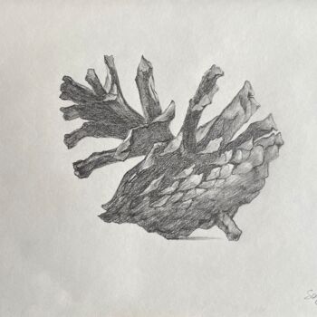 Rysunek zatytułowany „Pinecone” autorstwa Sofiia Kulichkova (Sonjakul), Oryginalna praca, Ołówek