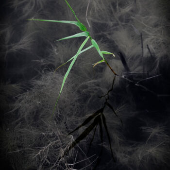 Photographie intitulée "The Simple Things" par Jade Holing, Œuvre d'art originale, Photographie numérique