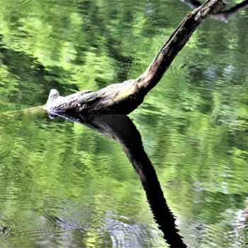 Photography titled "Doublon" by Marie Marlène Mahalatchimy, Original Artwork, Non Manipulated Photography