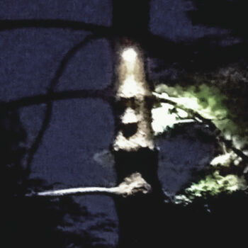 Fotografia intitolato "#B021-" da Dissonantuum, Opera d'arte originale, Fotografia non manipolata