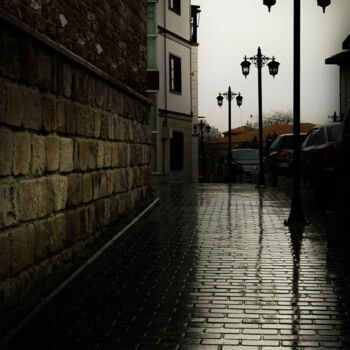 Fotografía titulada "a rainy day" por Ahmet Reha Demir, Obra de arte original, Fotografía no manipulada