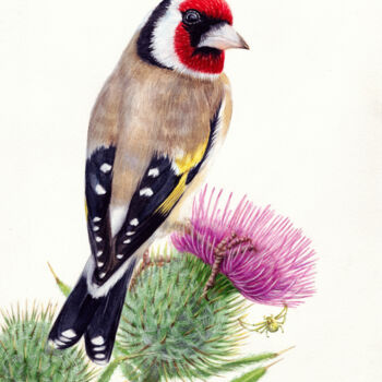 Pintura intitulada "A goldfinch on a th…" por Dmitrii Kastalskii, Obras de arte originais, Aquarela