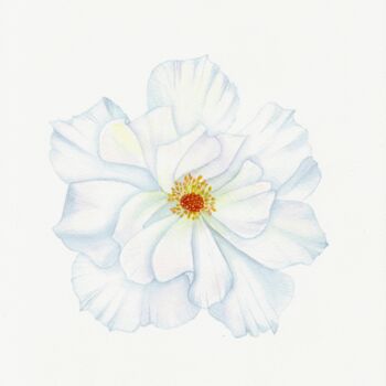 제목이 "Spring rosehip flow…"인 미술작품 Olena Zhylenko로, 원작, 수채화
