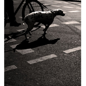 Photography titled "Héros de l'ombre 2" by Carlos Arriagada, Original Artwork, Digital Photography