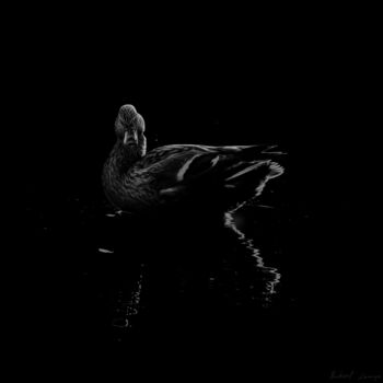 Fotografía titulada "Black And White Duc…" por Michael Lomiya, Obra de arte original, Fotografía manipulada
