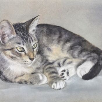 Drawing titled "Grey cat" by Irene_art, Original Artwork, Pastel
